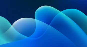 The Product Strategy and the Product Life Cycle