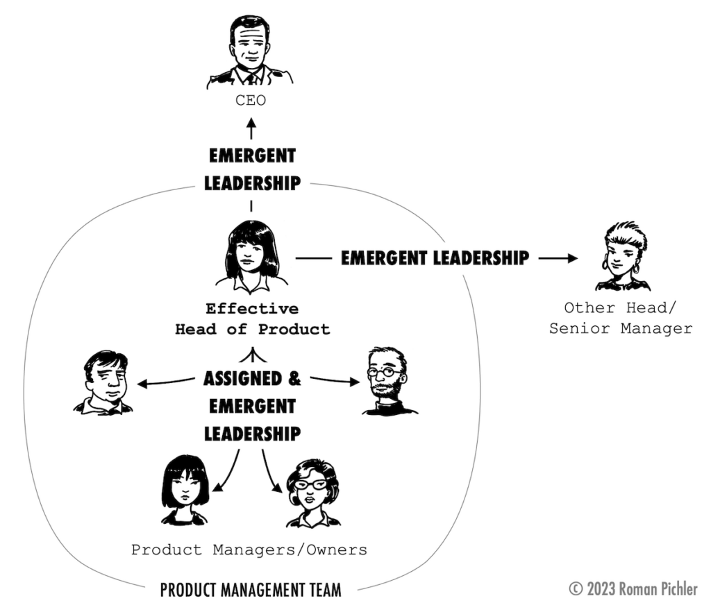 Head of Product Exercising Assigned and Emergent Leadership